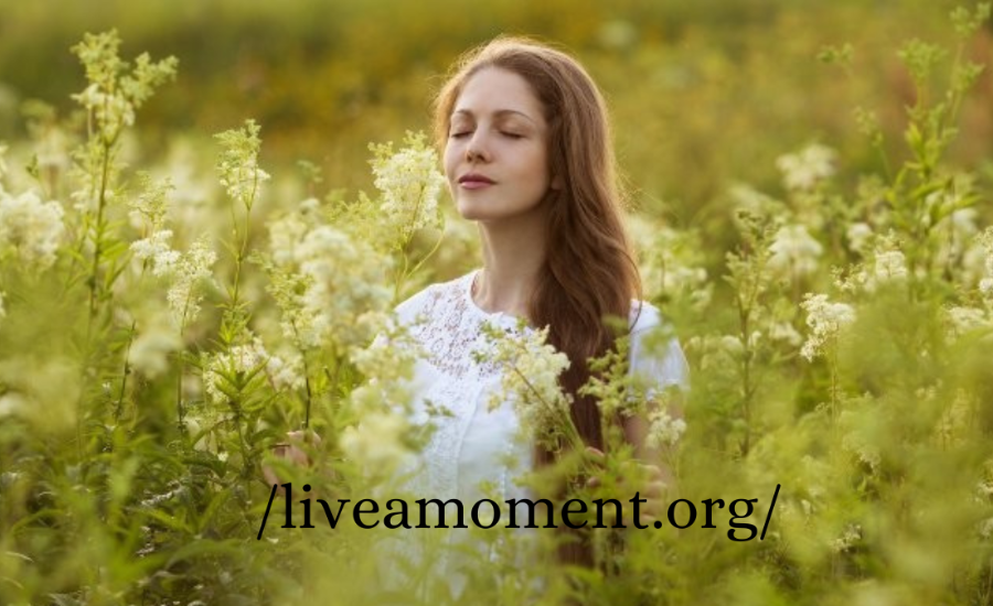 Discovering Inner Peace and Global Connection with LiveAMoment.org