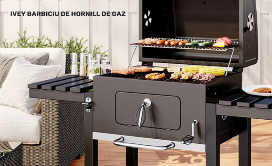 Why Choose The Ivey Barbiciu de Hornill de Gaz?