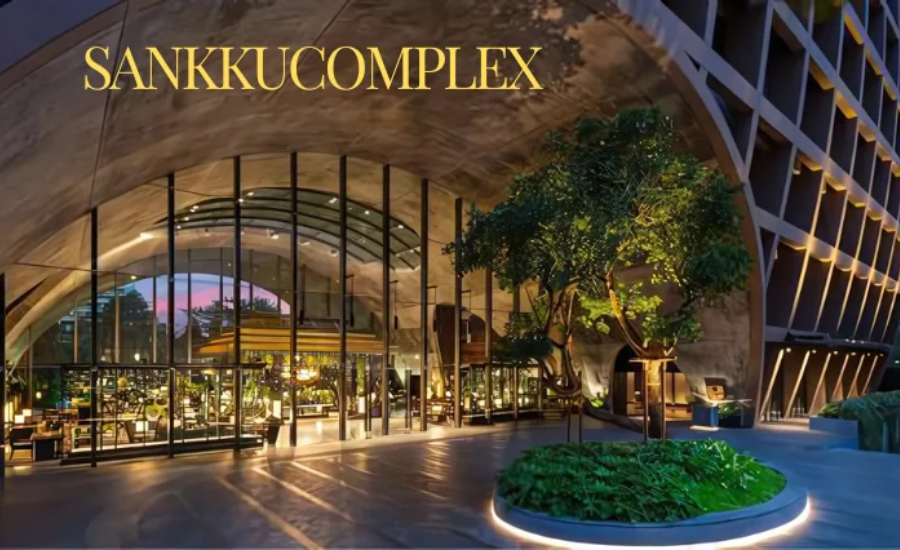 What Is Sankkucomplex?